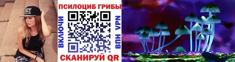 маркетплейс формула  сколько стоит  Пудож  Галлюциногенные грибы Psilocybe  мега ссылки 